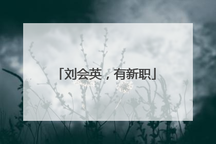 刘会英，有新职